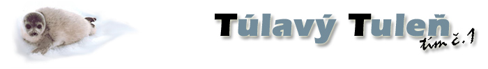 Team#1:Tulavy Tulen